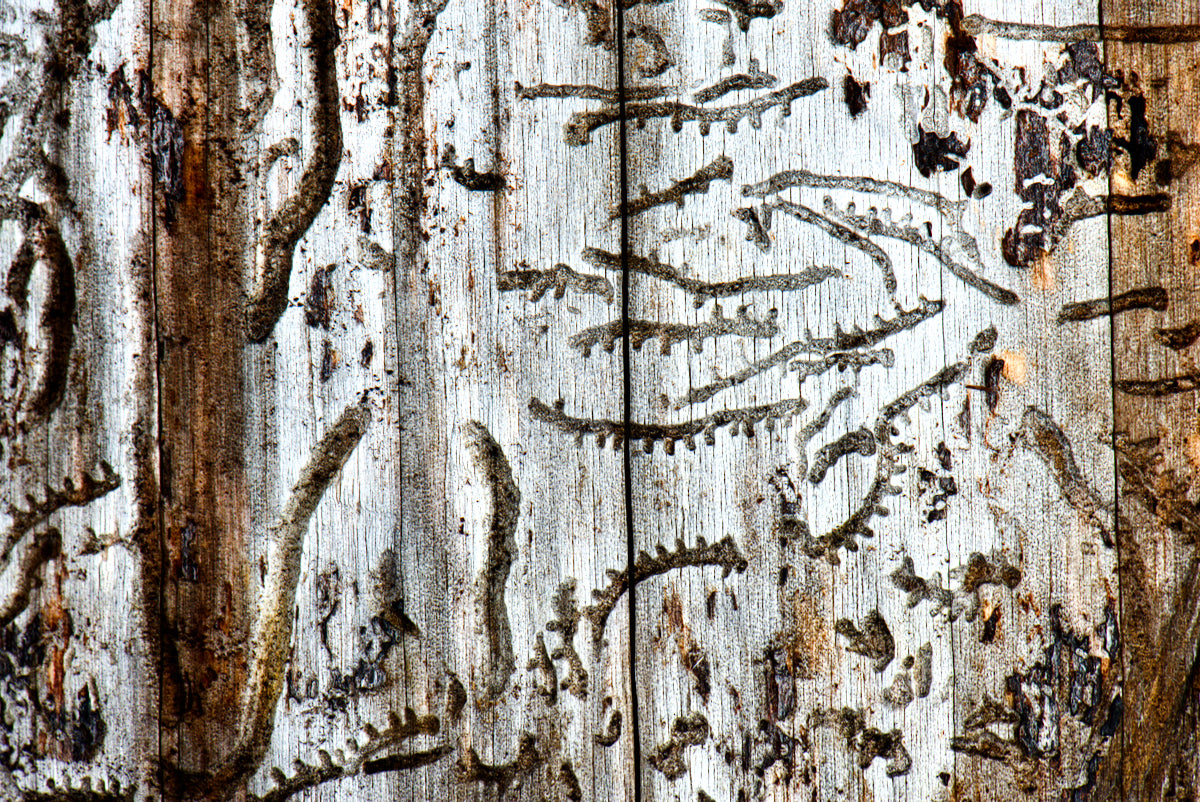 Holzmalerei