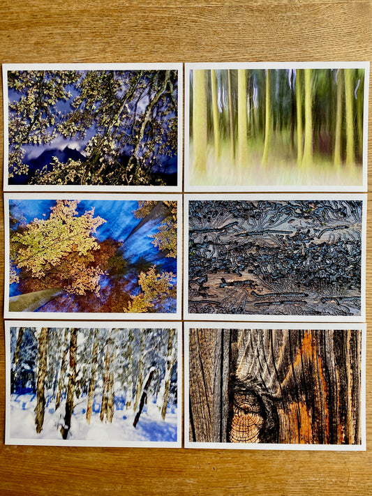 Kunstkarten: Im Wald