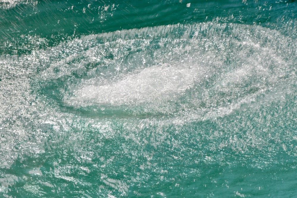 Aareschwimmen