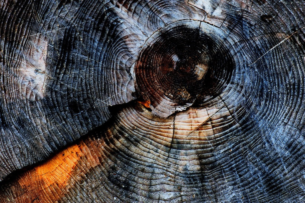 Das Dritte Auge