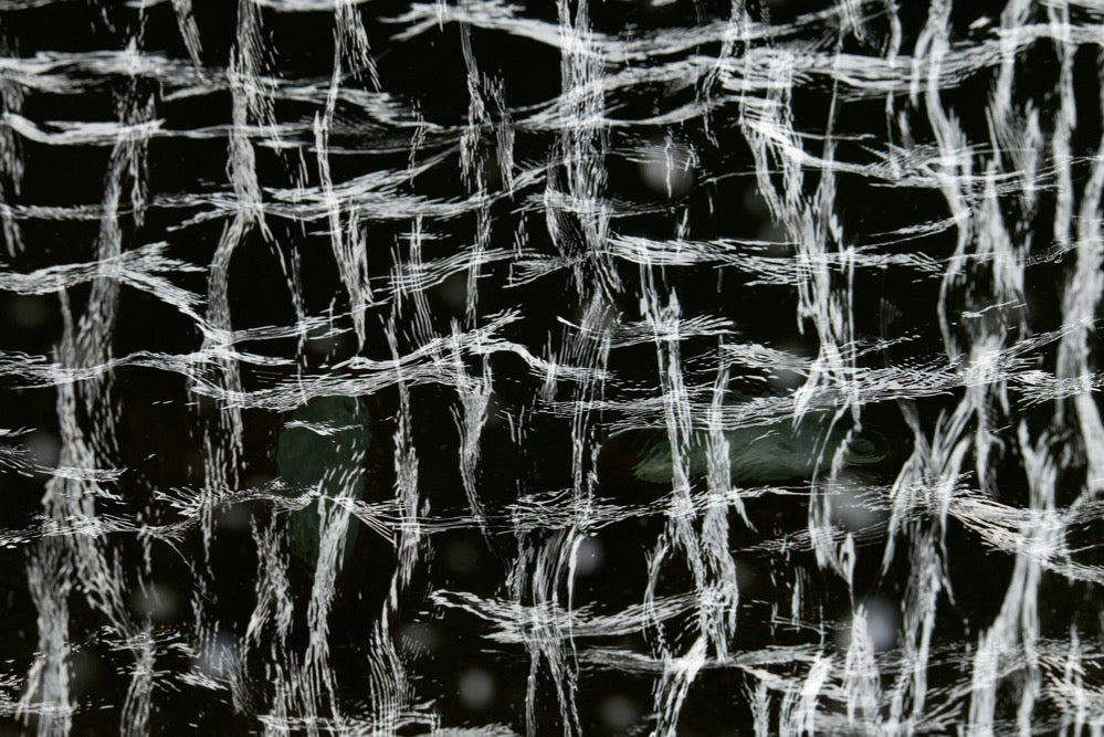 Gesang der Linien