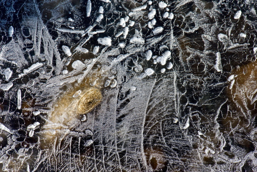 Goldgräberei