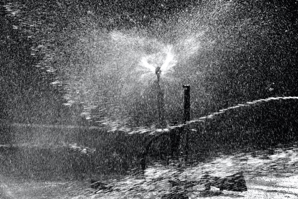 Unterwasserwelt