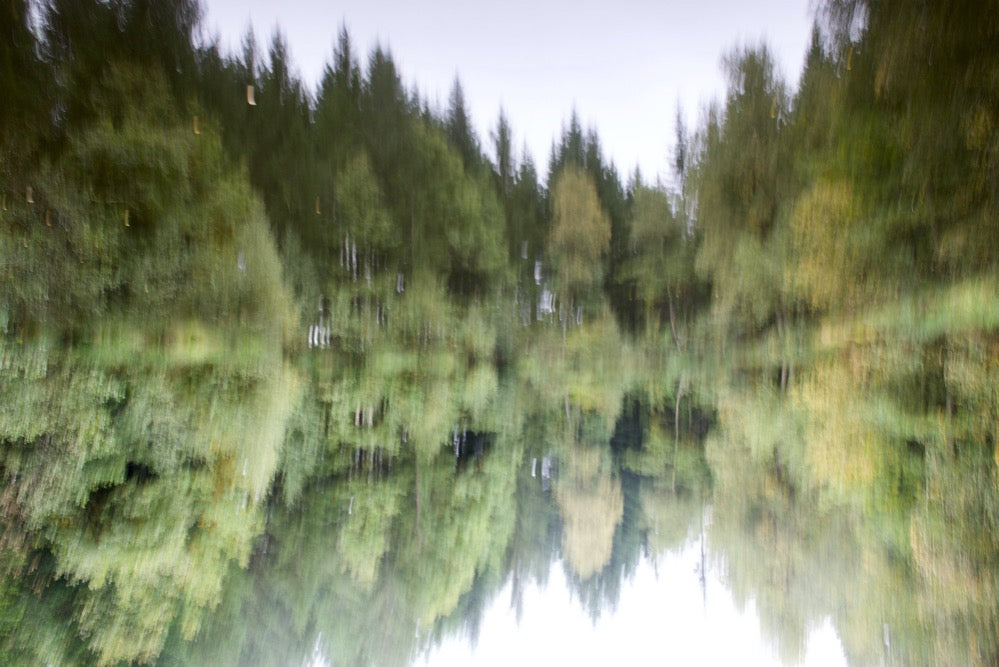 Waldsee
