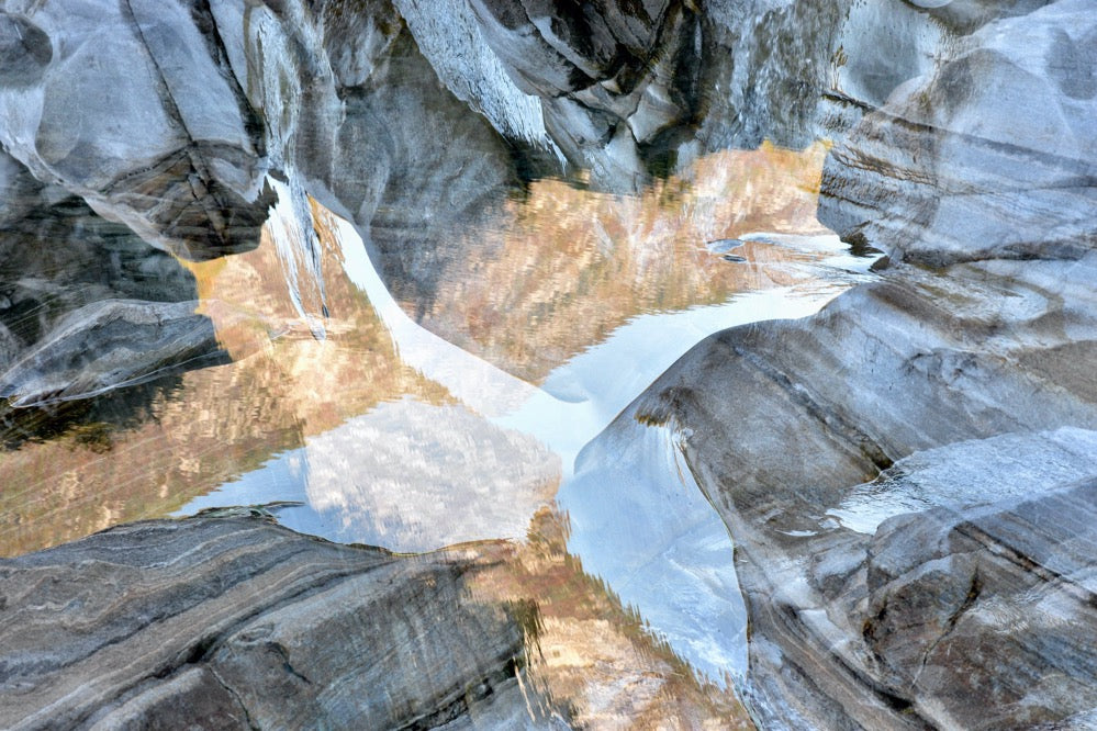 Wasservogel