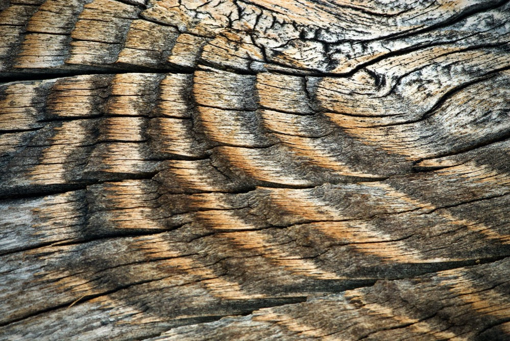 Wellen im Holz